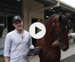 Home Affairs x Ciarlet Colt