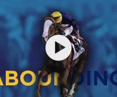 Spirit of Boom x Marluccio Filly