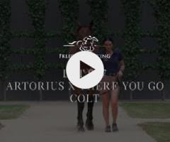 Artorius/There You Go