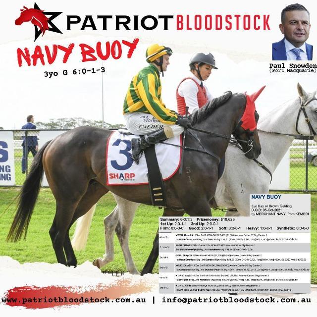 4yo Tried Horse, NAVY BUOY headed to Paul Snowden at Port Macquarie