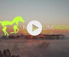 Grunt x Fastidious '24