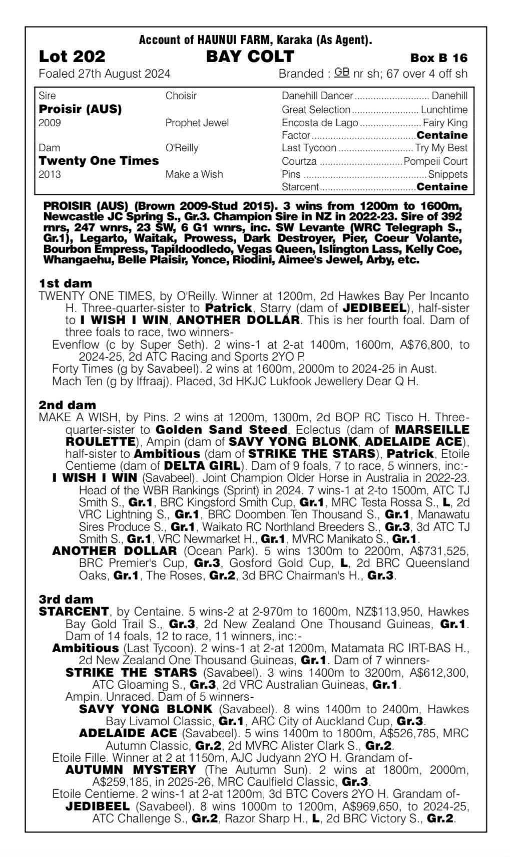 Proisir x Twenty One Times '24 Colt