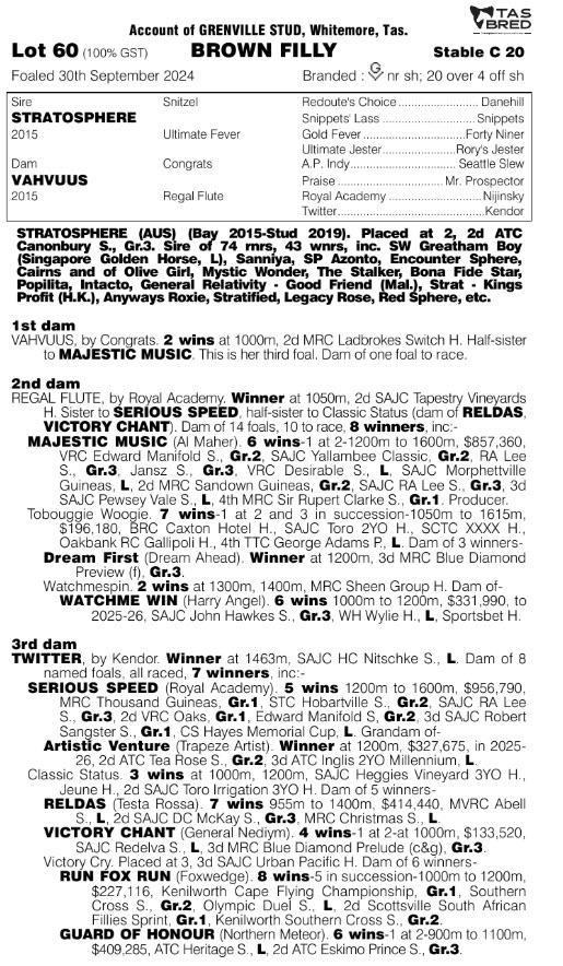 Stratosphere x Vahvuus Filly