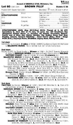 Stratosphere x Vahvuus Filly