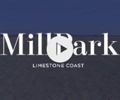 Grunt x Snow Surrender Filly '24