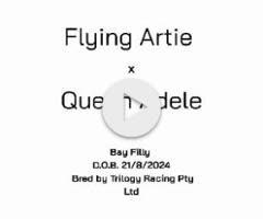 Flying Artie x Queen Adele '24 Filly