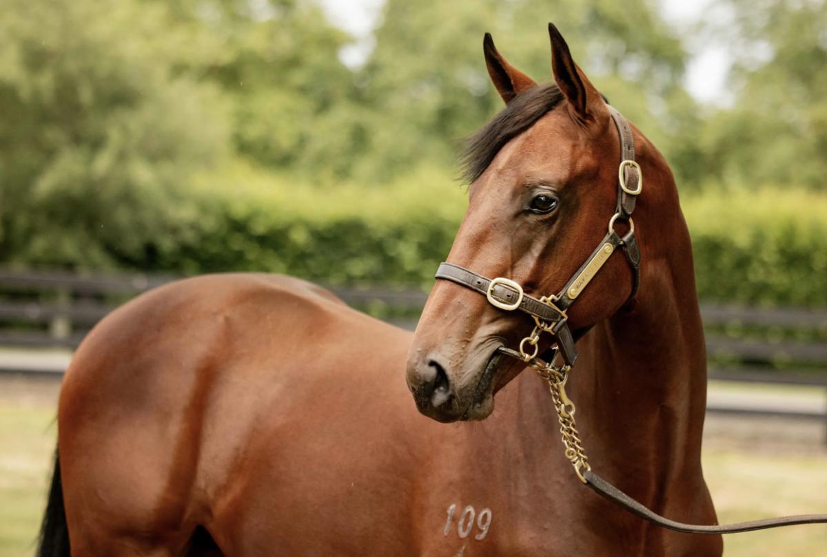 Super Seth/Out Of The Park '24