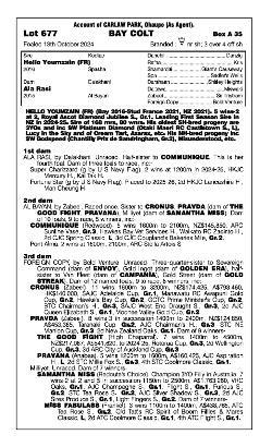 Hello Youmzain x Ala Rasi