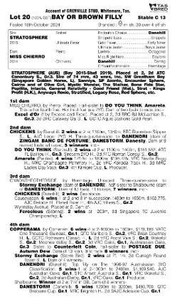 Stratosphere x Miss Chierro Filly