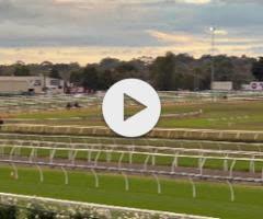 Trapeze Artist x Decoco