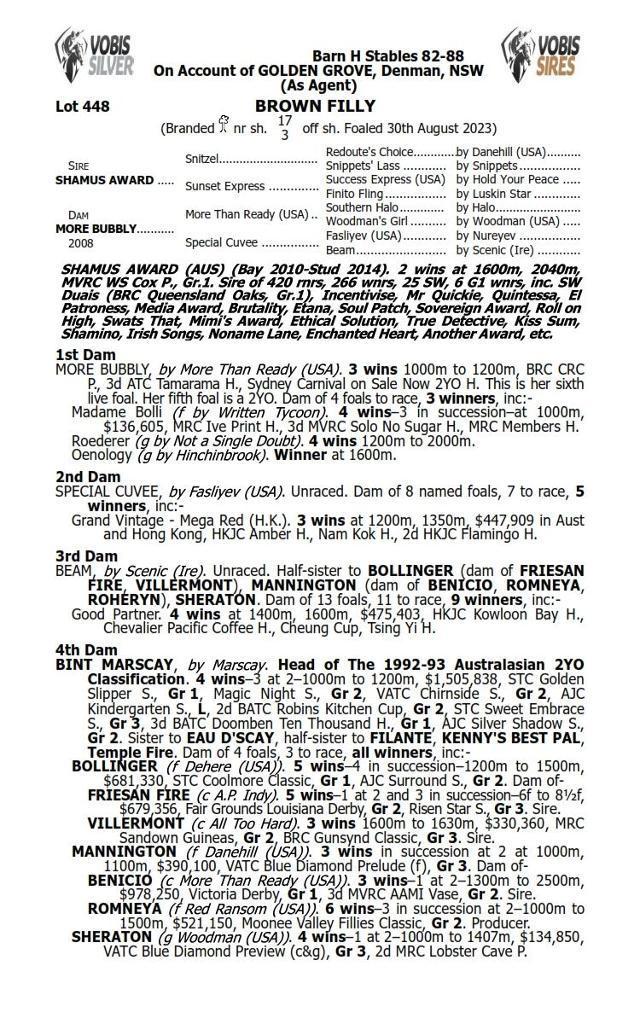 Shamus Award x More Bubbly Filly