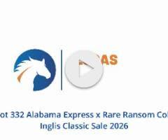 Alabama Express x Rare Ransom