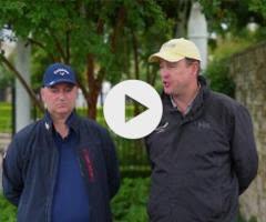 Exceedance x Meikas - 45% Remaining