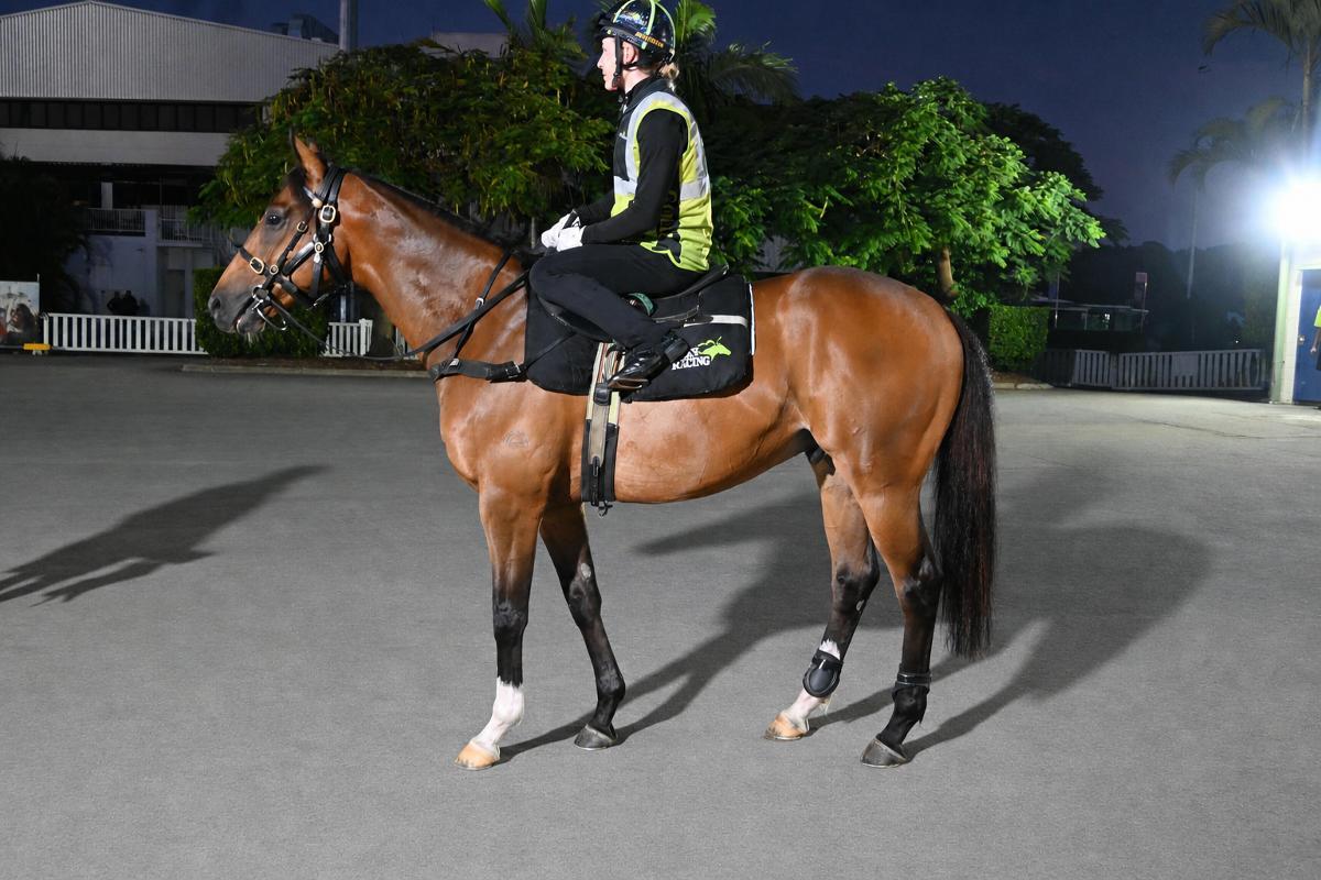 horse-image