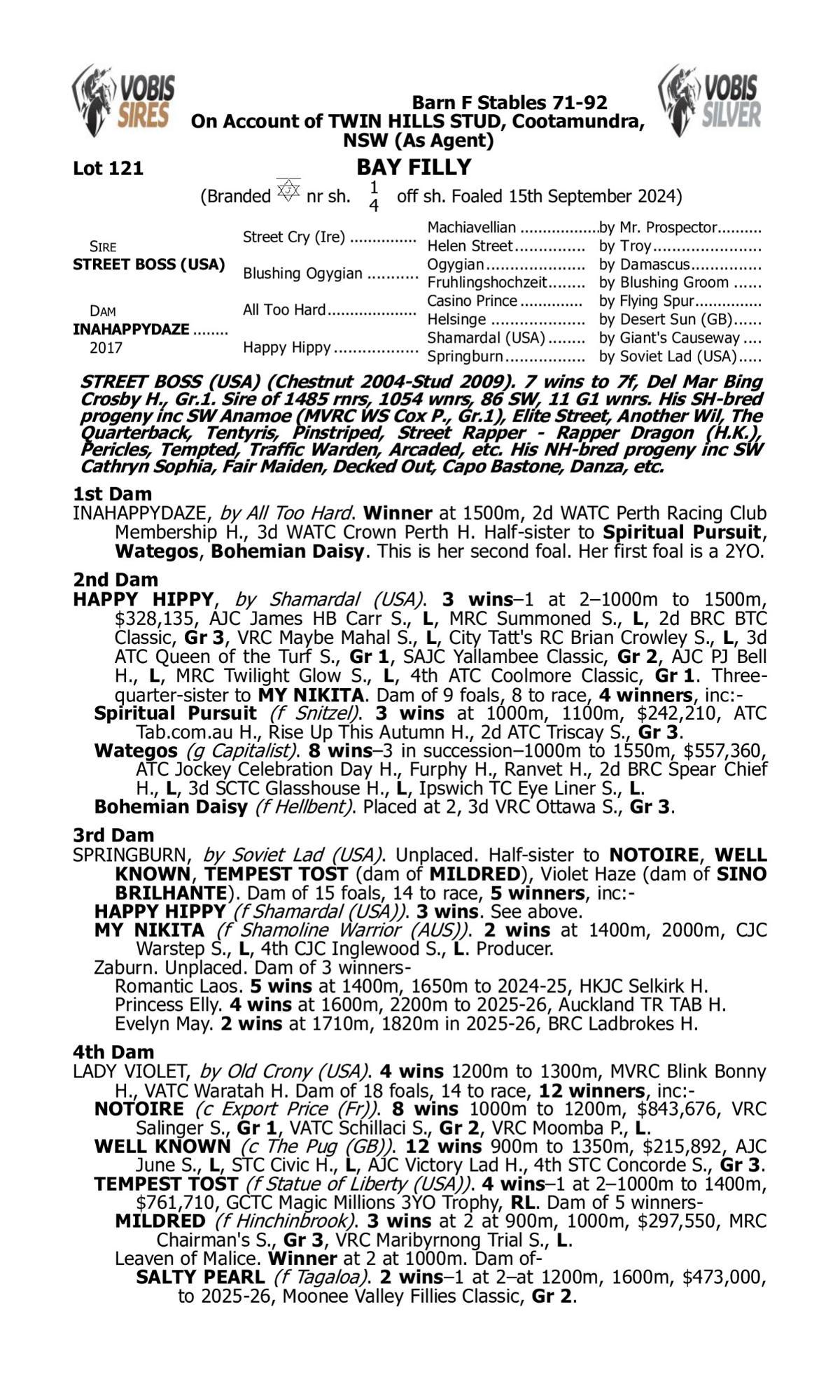 Street Boss/Inahappydaze '24