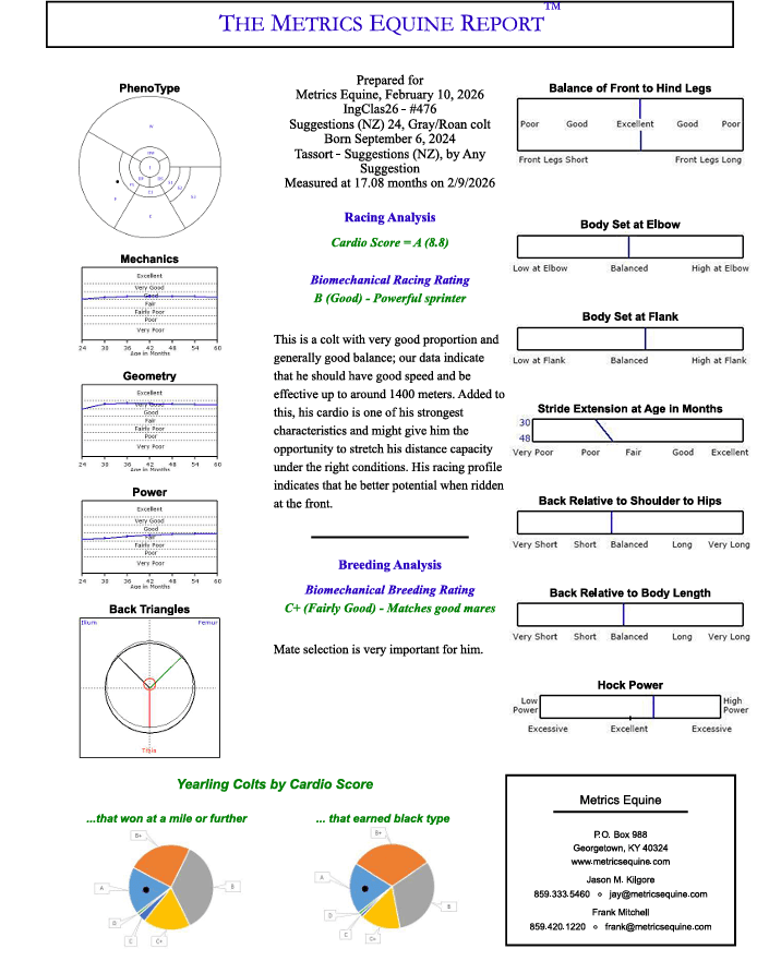 Tassort X Suggestions