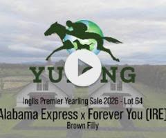 Alabama Express/Forever You '24
