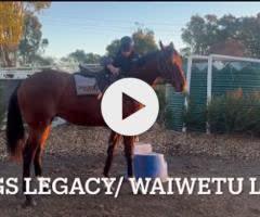 Kings Legacy x Magical Charm (NZ