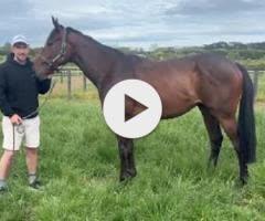 El Roca x Dunbarton 23