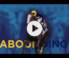 Spirit of Boom x Marluccio Filly
