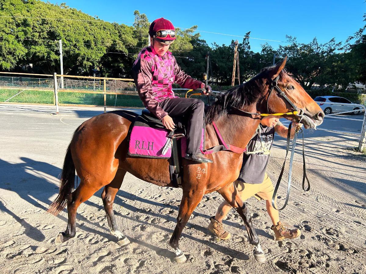 Ave Cantare (2yo filly by Microphone)