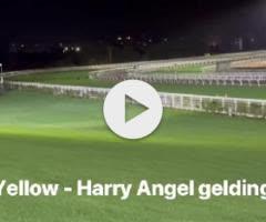 Harry Angel x Kings Brook