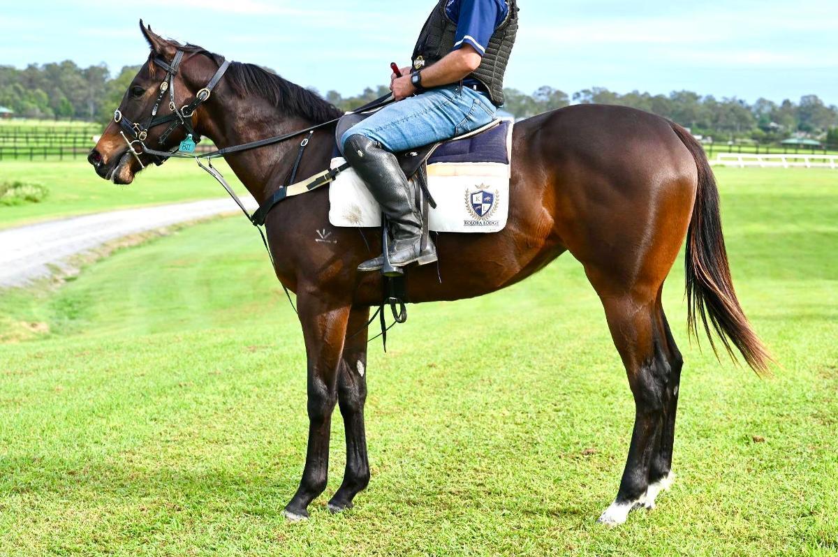 horse-image