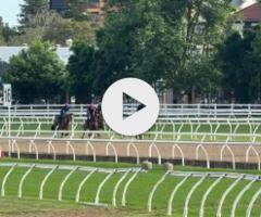 Snitzel/Debonnaire '23