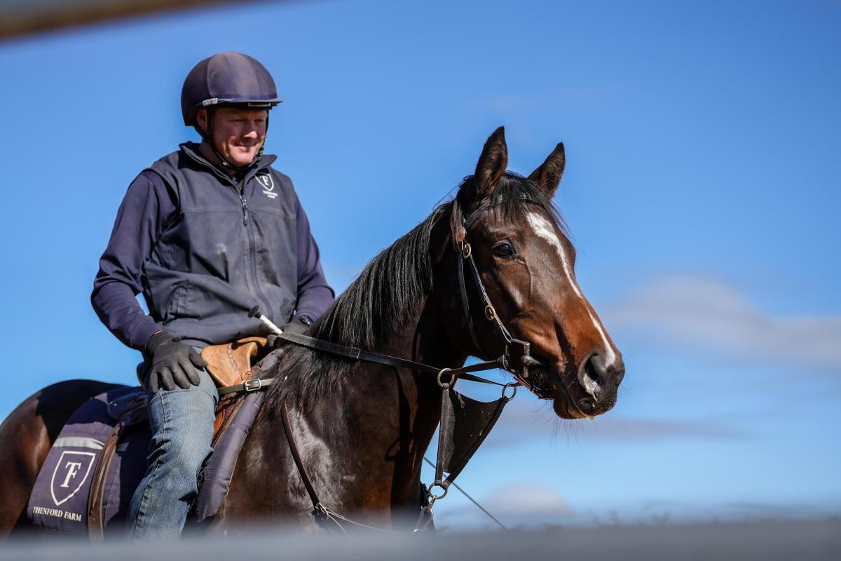 horse-image