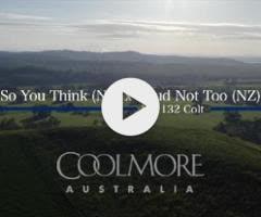 RUUD NOT TOO (NZ) / SO YOU THINK