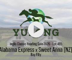 Alabama Express x Sweet Anna Filly '24