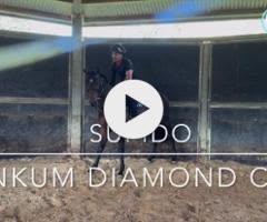 Supido x Dinkum Diamond