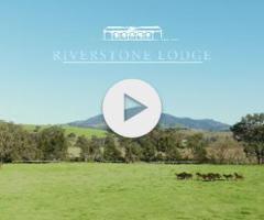 Brave Smash X Nags To Riches