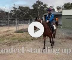 Dundeel / Standing Up