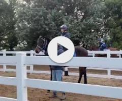 Lonhro x Alison Of Tuffy