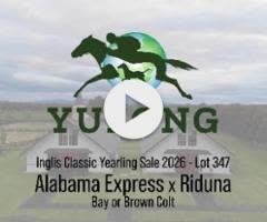 Alabama Express x Riduna Colt '24