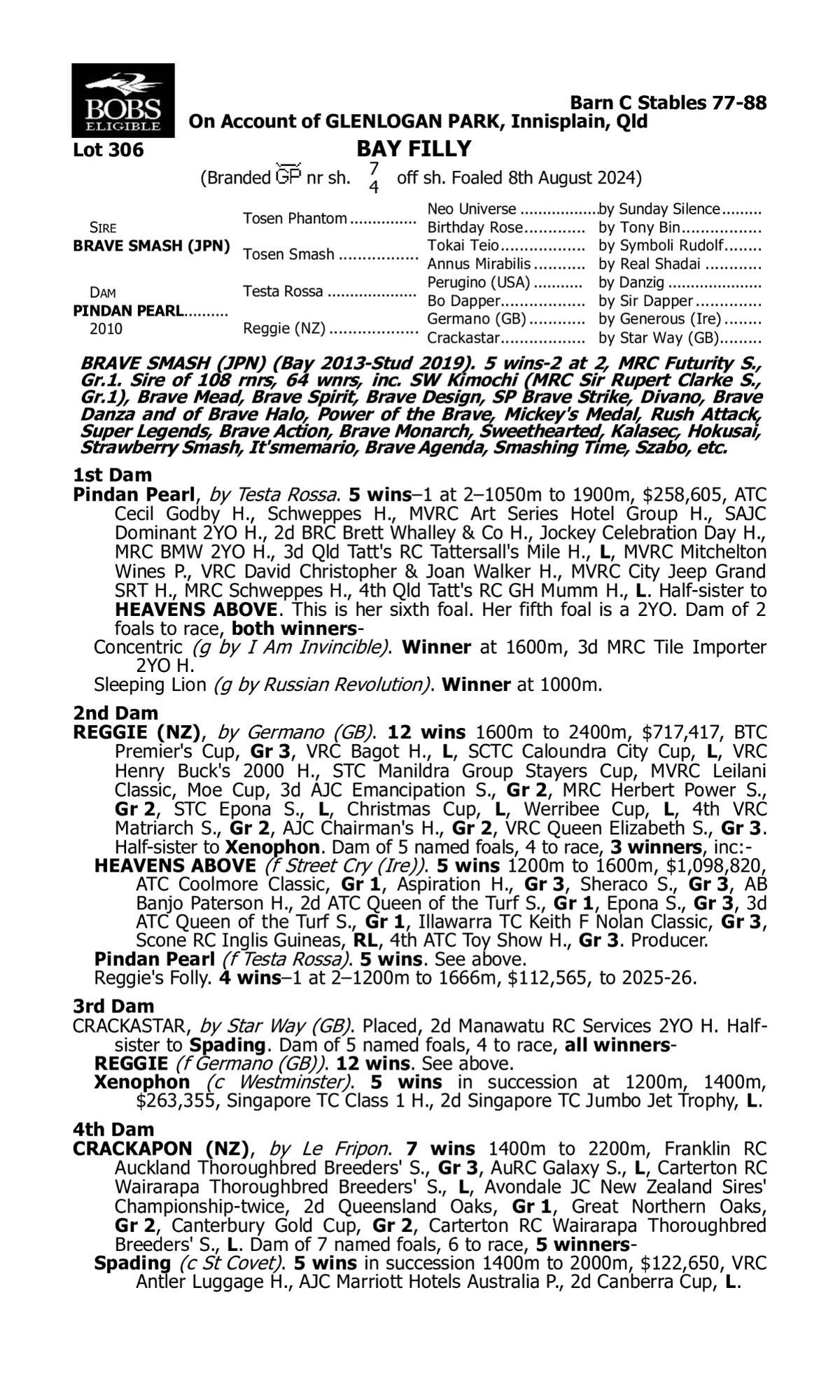 Brave Smash x Pindan Pearl