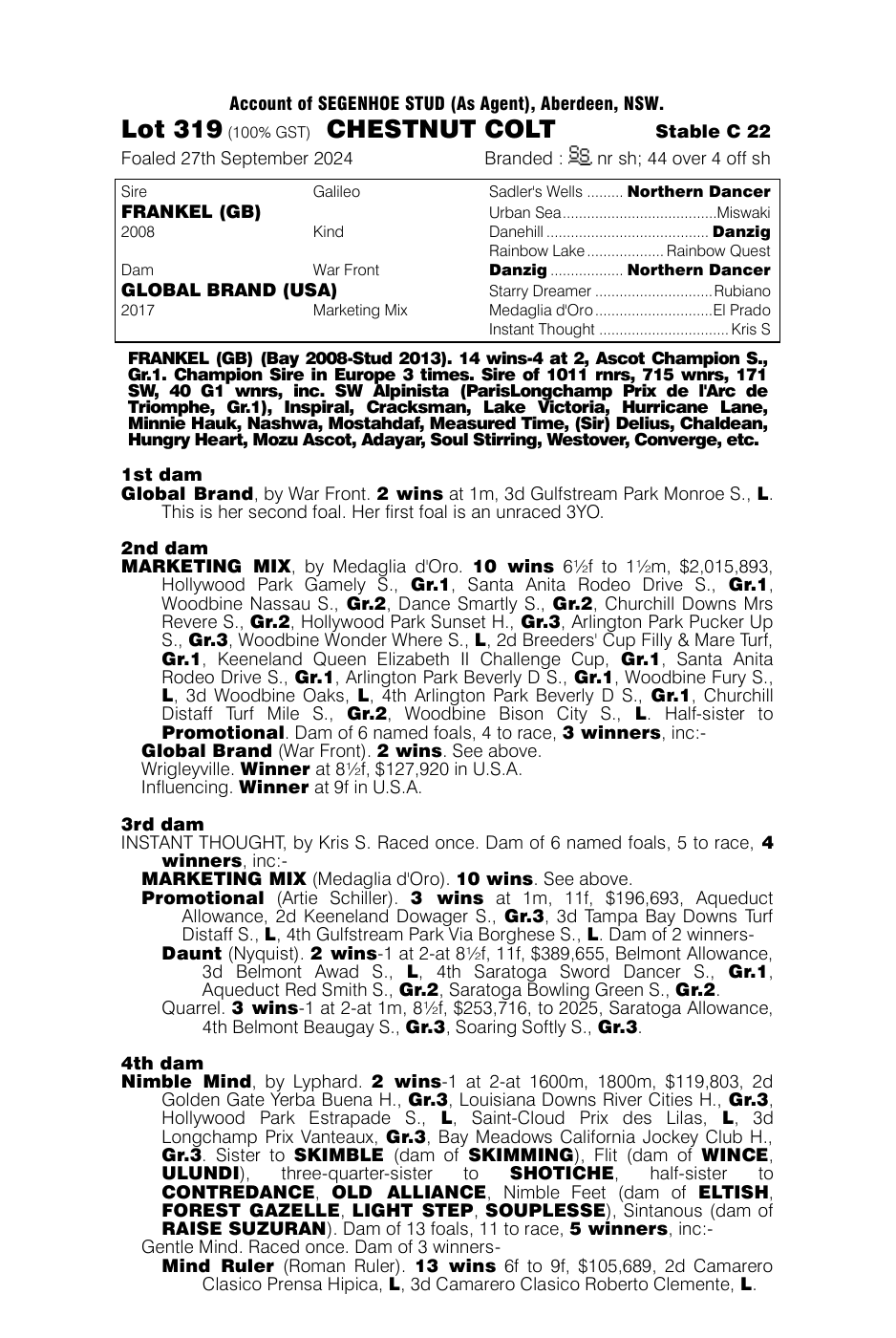 Frankel x Global Brand (USA) colt