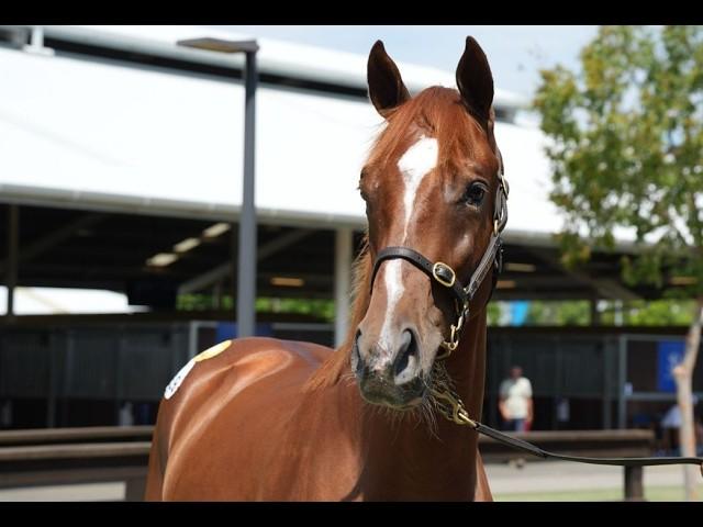 Top Ranked x Annamarie