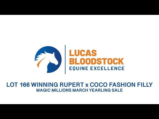 Awesome Ownership Opportunity - Winning Rupert x Coco Fashion - QTIS Filly