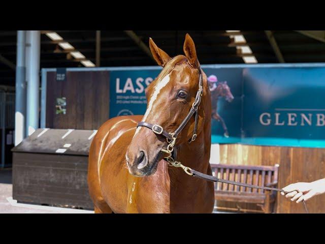 St Mark's Basilica x Stoked