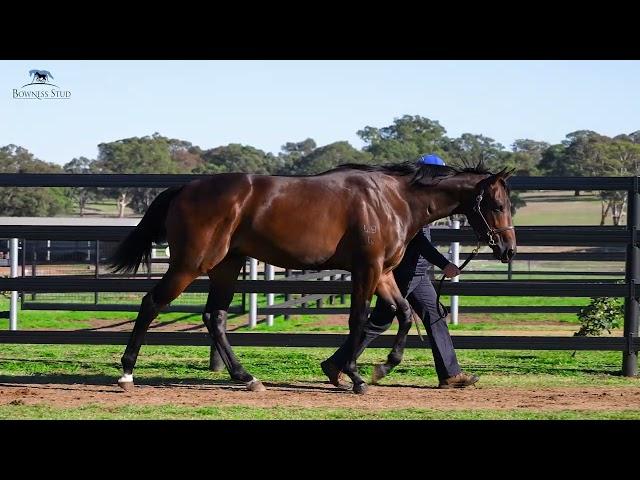  D'argento x Read My Stars