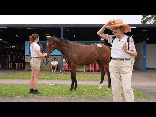 Street Boss/Inahappydaze '24