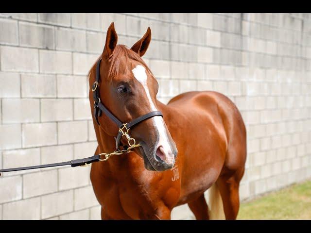 Toronado X Heavenly Bridges