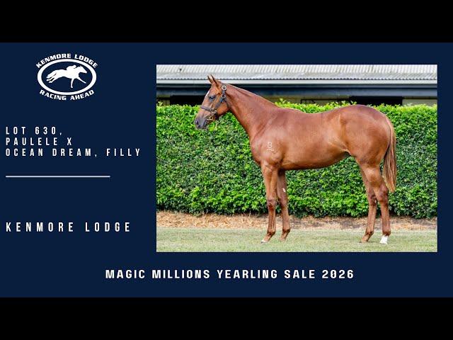 Paulele X Ocean Dream Filly