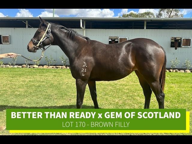 Better Than Ready x Gem Of Scotland 24F