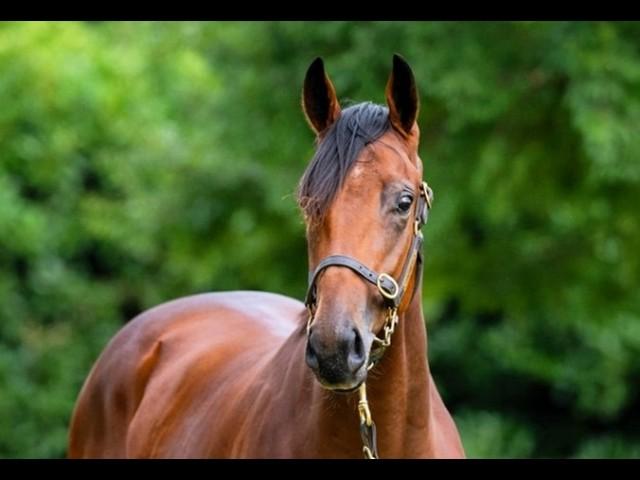 Grunt x Touch a Cloud