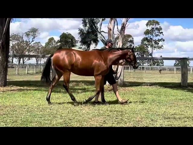 State Of Rest x Vital Source 24F