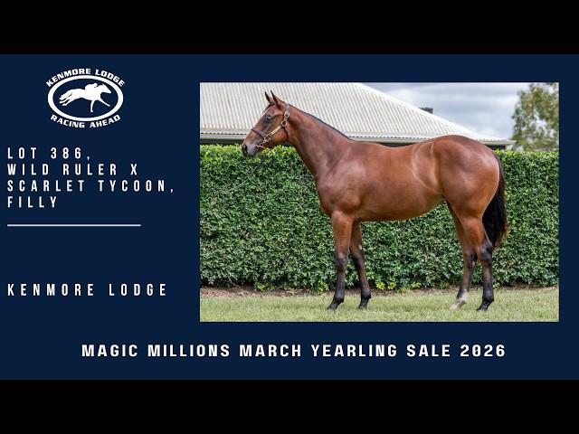 Wild Ruler x Scarlet Tycoon 24F