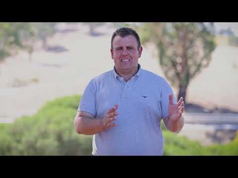 Zousain x Love Lucille '23 Filly(Thoroughbred)